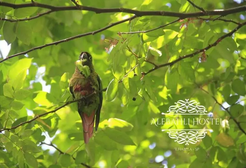 ペンション Alebahli Hospedagem Ilhabela