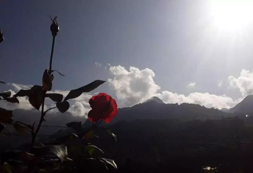 ペンション Alojamiento Rural Jardín Consentido