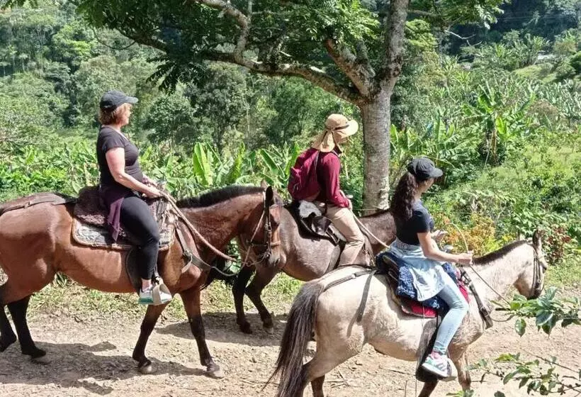 ペンション Alojamiento Rural Jardín Consentido