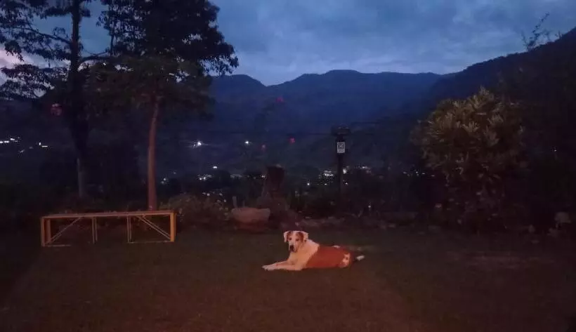 ペンション Alojamiento Rural Jardín Consentido