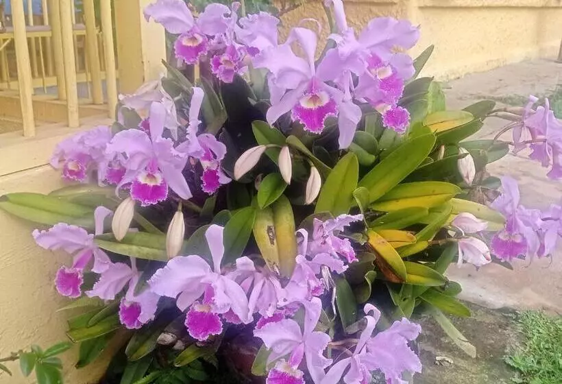 ペンション Alojamiento Rural Jardín Consentido
