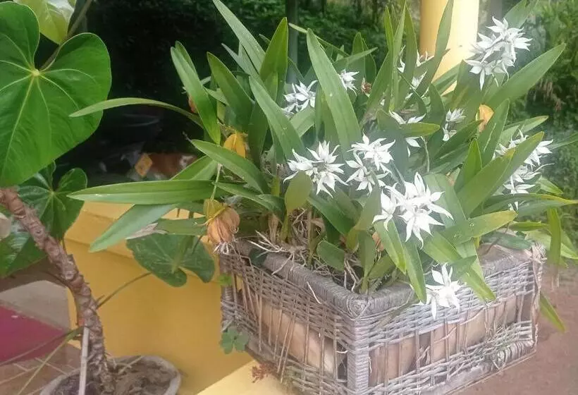ペンション Alojamiento Rural Jardín Consentido