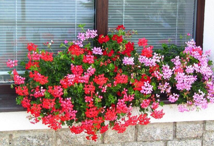 פנסיון Penzion Pohlednička