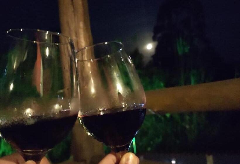 Panzió Pousada Vila De Gaia