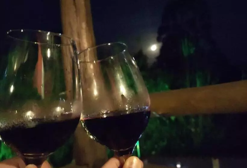 ペンション Pousada Vila De Gaia