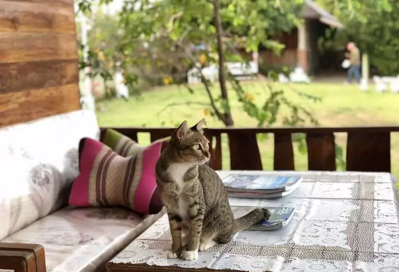 Hotelli Phupha Inn Resort