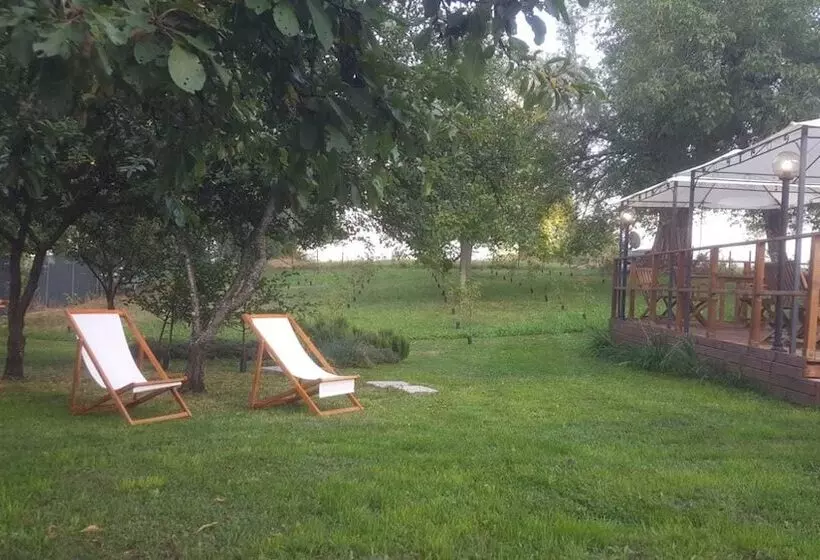 B&b Le Terre Matildiche