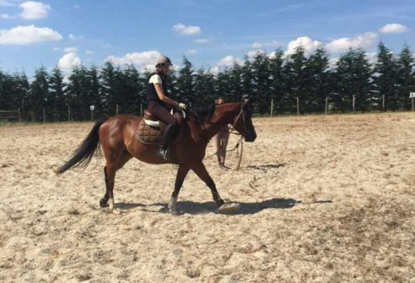 צימר Domaine Des Trois Chênes