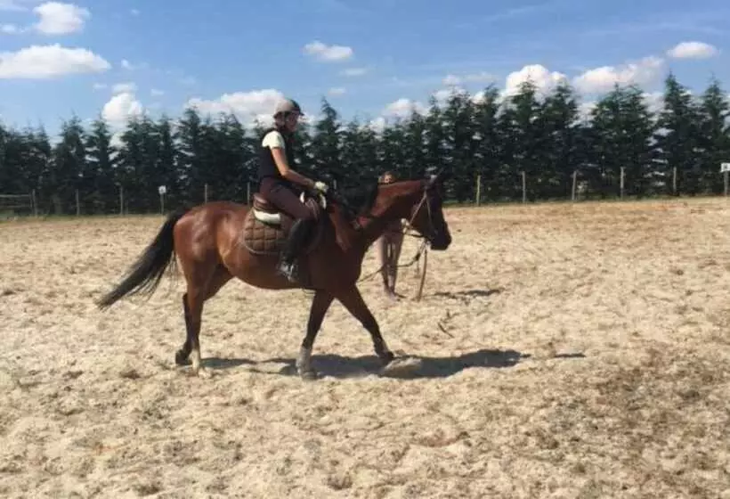 Aamiaismajoitus (B&B) Domaine Des Trois Chênes