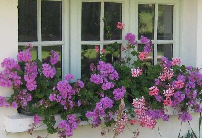 Bed and Breakfast Le Moulin De Champ Bruneau