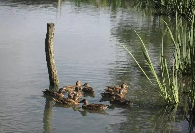 Aamiaismajoitus (B&B) Le Moulin De Champ Bruneau