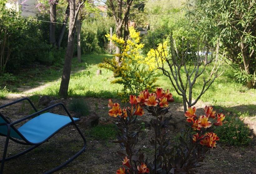 مبيت وإفطار Le Petit Molière