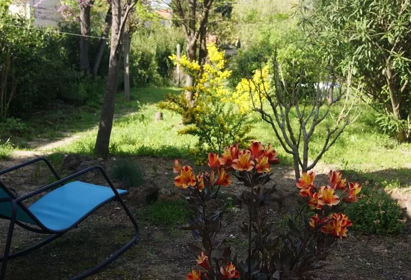 ベッドアンドブレックファースト Le Petit Molière