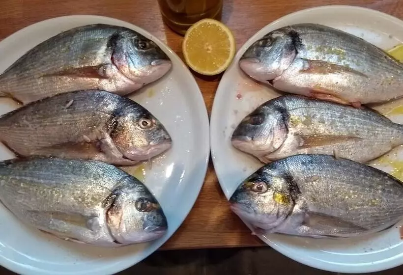 ベッドアンドブレックファースト Le Petit Molière