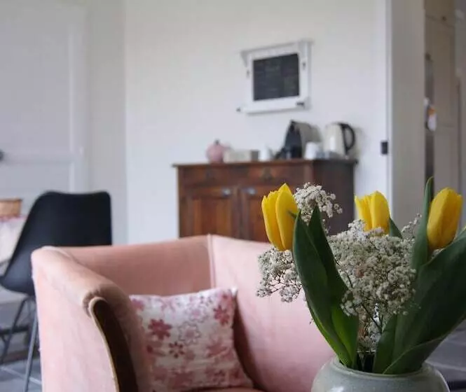 ベッドアンドブレックファースト Le Petit Molière