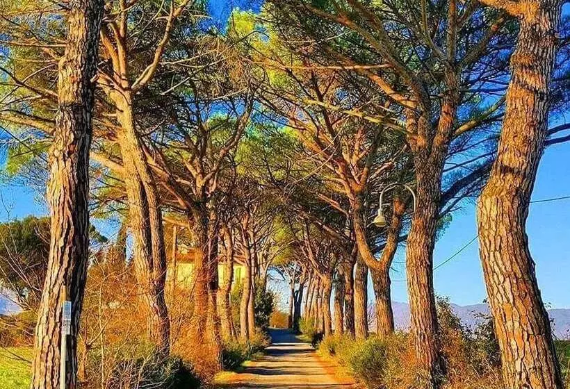 Aamiaismajoitus (B&B) Relais Villa Al Vento