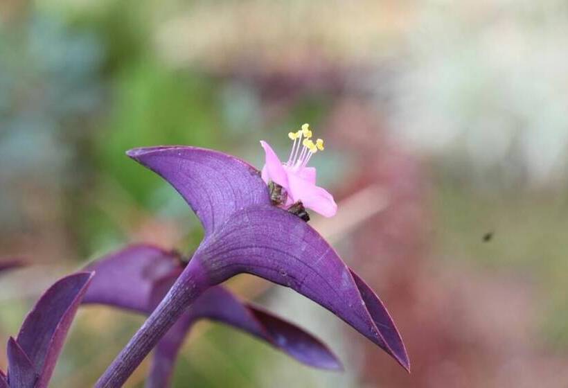 민박 Saka Boutique