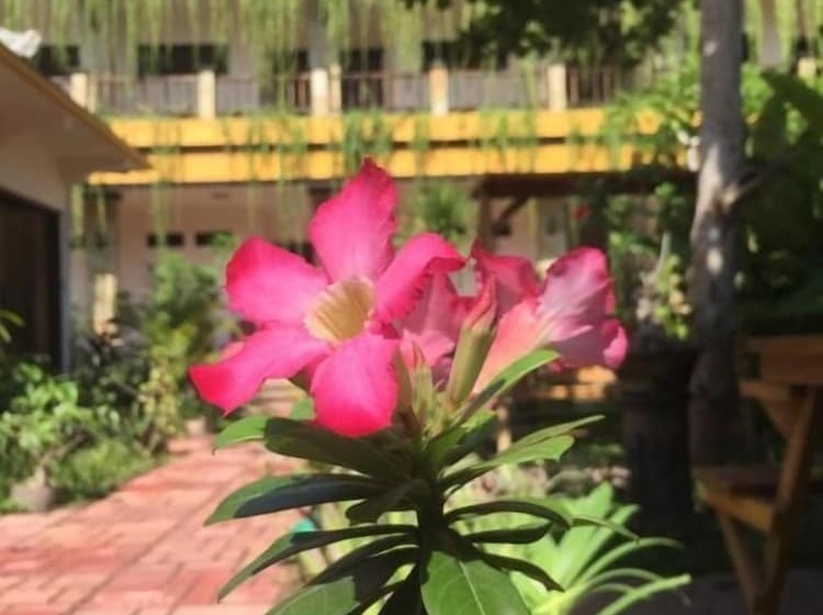 민박 Saka Boutique