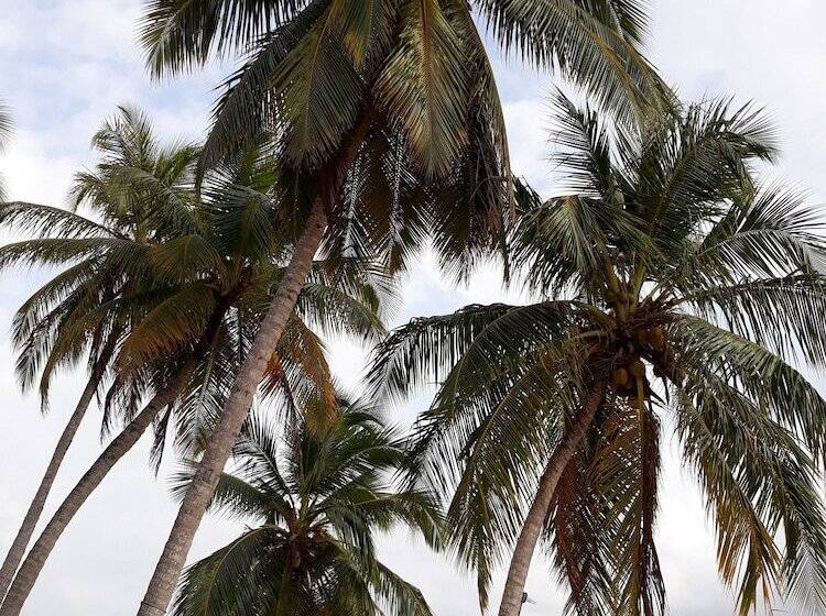 Отель Discovery Guna