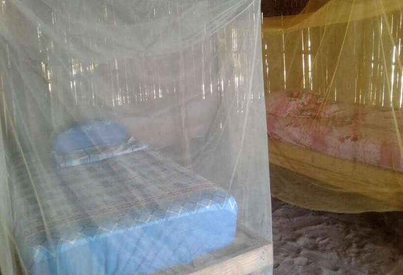 Отель Discovery Guna