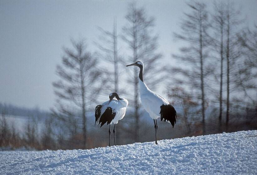 Otel Green Park Tsurui
