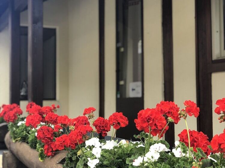 ホテル Hôtel Génépi