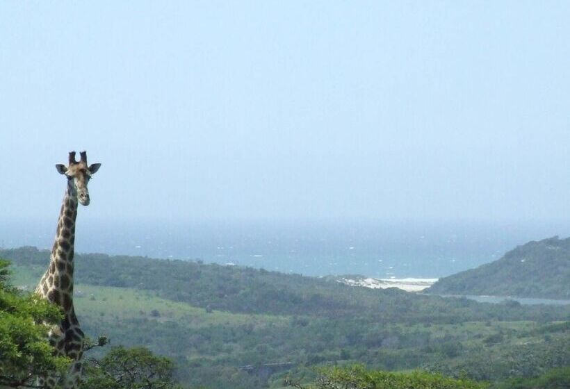 Отель Inkwenkwezi Private Game Reserve