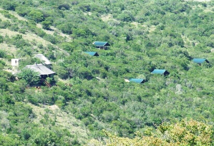 Отель Inkwenkwezi Private Game Reserve