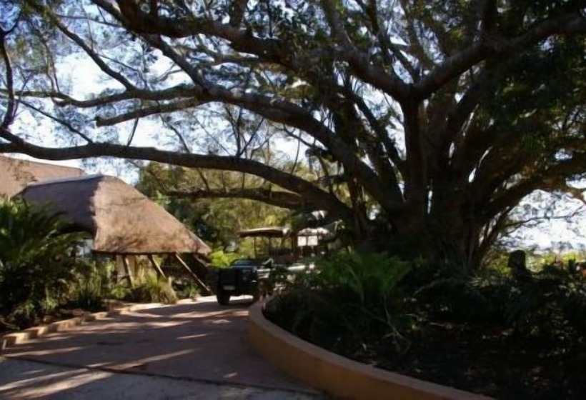 Отель Inkwenkwezi Private Game Reserve