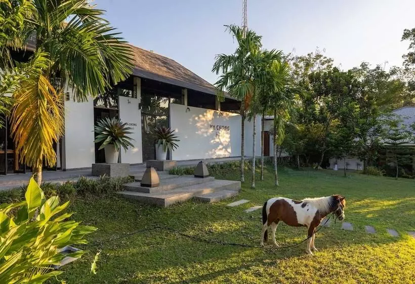 ホテル Kachong Hills Tented Resort Trang