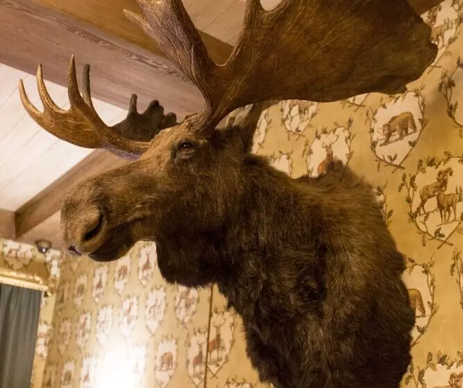 Hotelli Ohotnichiy Sezony