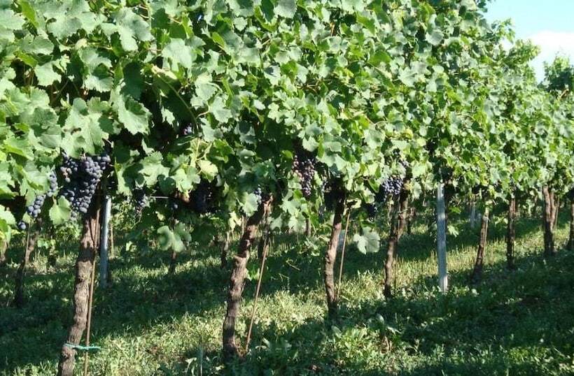 בית מלון כפרי Ca Guerriera