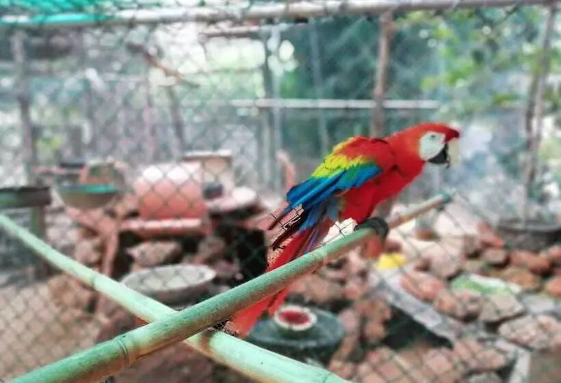 ホテル White Peacocks And Birds Resort