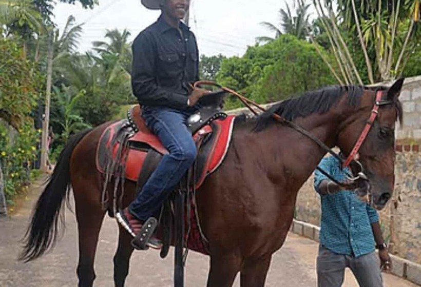 فندق White Peacocks And Birds Resort