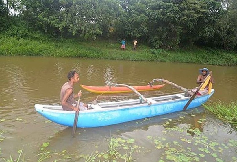فندق White Peacocks And Birds Resort
