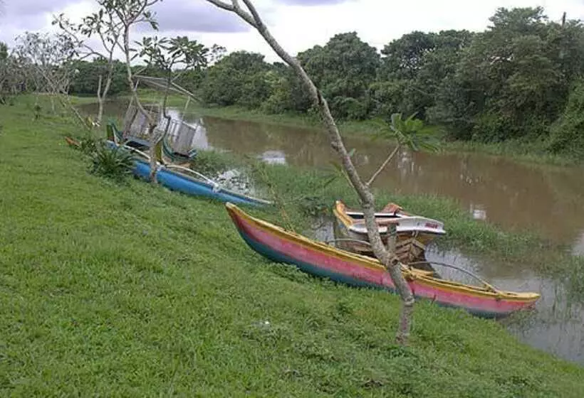 ホテル White Peacocks And Birds Resort