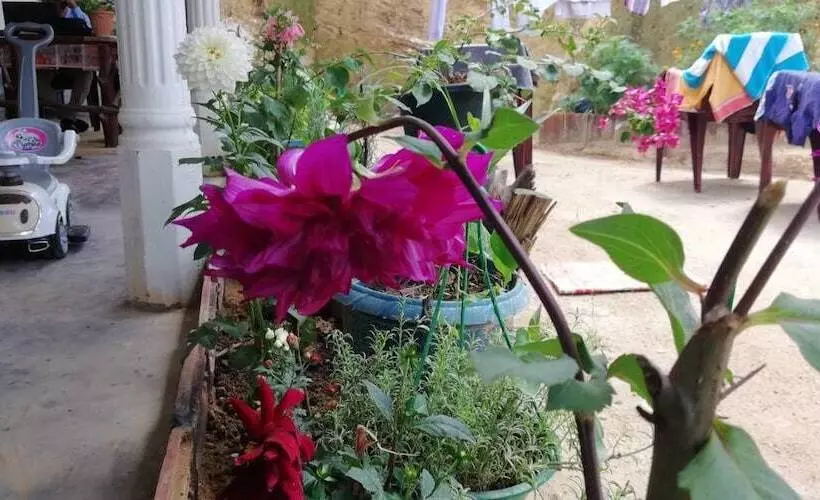 ペンション Ella Forest Eco View