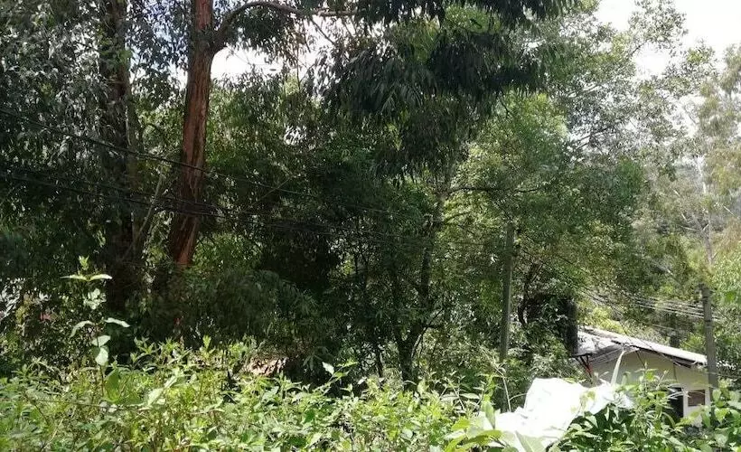 ペンション Ella Forest Eco View