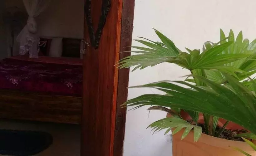 ペンション Ella Forest Eco View