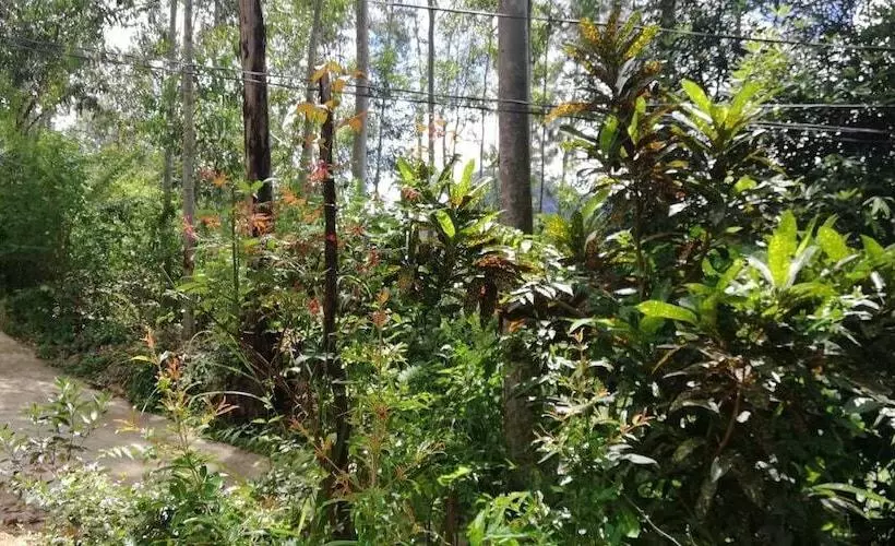 ペンション Ella Forest Eco View