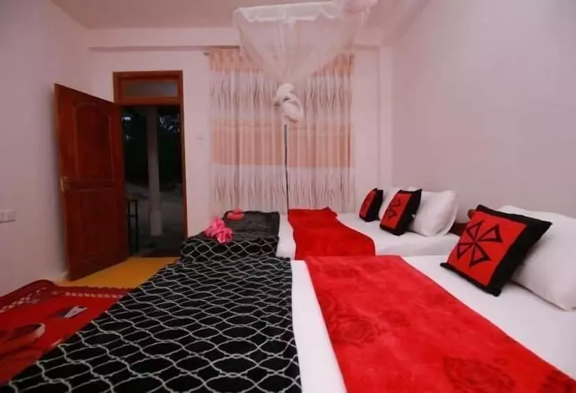 ペンション Ella Forest Eco View