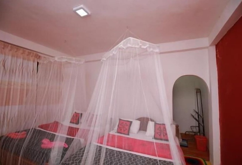 Pensionat Ella Forest Eco View