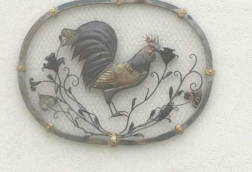 بنسيون Le Grillage A Poules