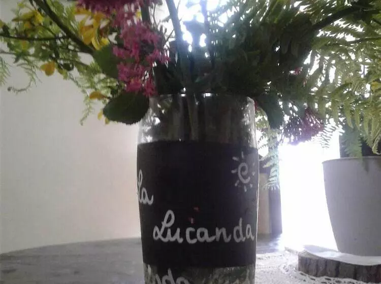 Hostelli Rifugio Escursionistico Cascina Porro