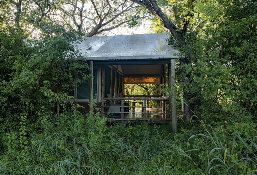 호텔 Tembe Elephant Park Lodge