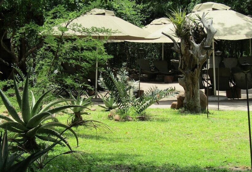 호텔 Tembe Elephant Park Lodge