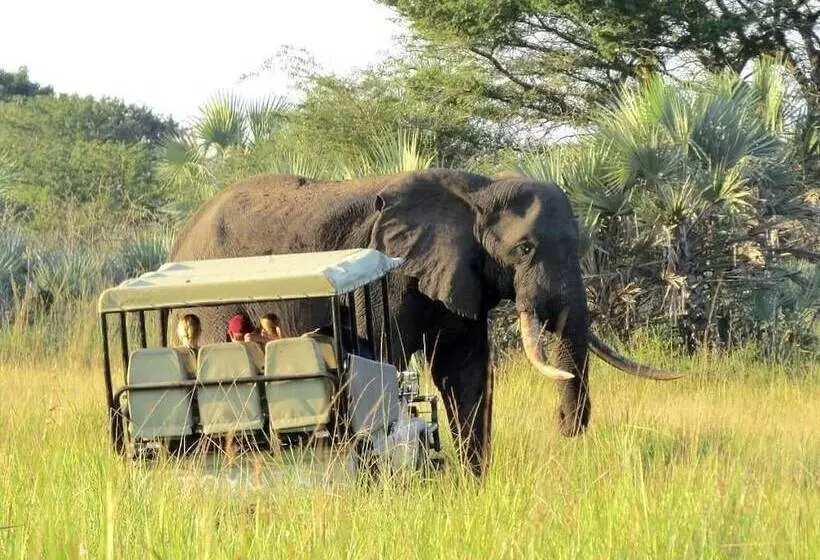 Hotelli Tembe Elephant Park Lodge