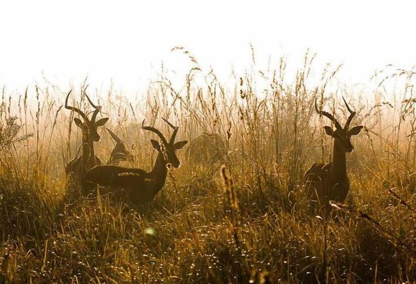 호텔 Tembe Elephant Park Lodge