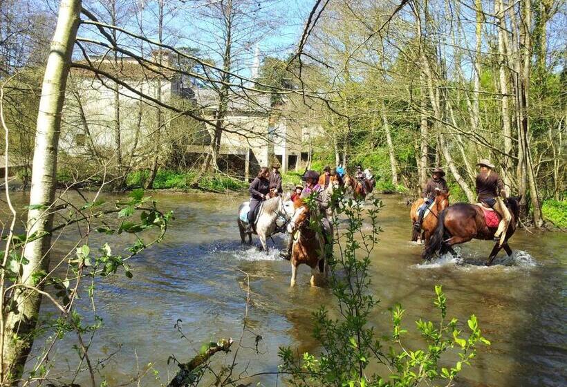 膳宿费 La Coudriere