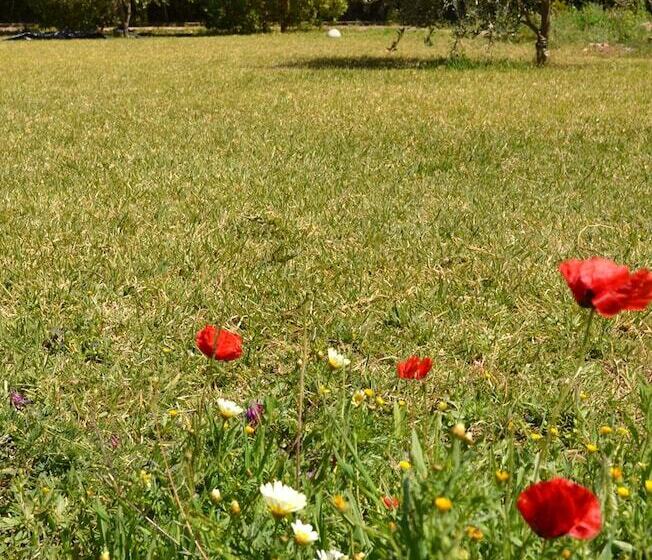 بنسيون L'ermitage Rouge